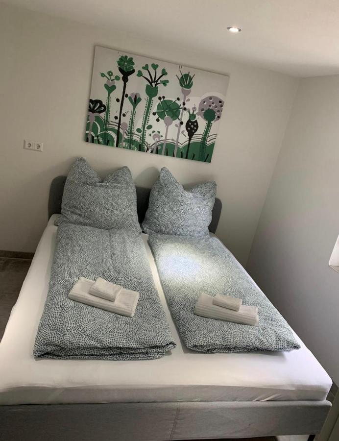 Greenhome Loerrach -Ihre Unterkunft Im 3-Laendereck- Δωμάτιο φωτογραφία