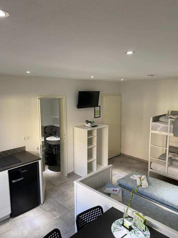 Greenhome Loerrach -Ihre Unterkunft Im 3-Laendereck- Εξωτερικό φωτογραφία